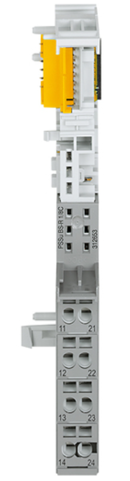Pilz_312653_Primary.png