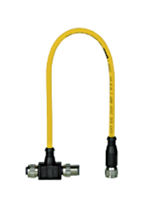 Pilz_540328_Primary.png