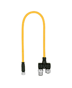 Pilz_540337_Primary.png