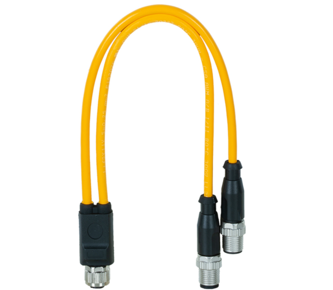 Pilz_C1_59_Primary.png