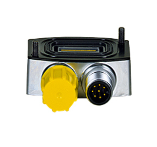 Pilz_6D_06_Primary.png