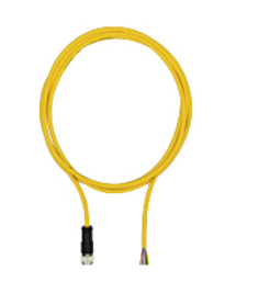 Pilz_6D_27_Primary.png