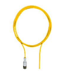Pilz_533171_Primary.png