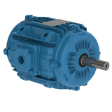 WEG_W22_145YZ_TEAO_Pad_Mount_Primary.png