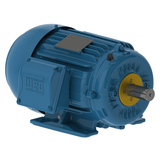 WEG_W22_143_5T_TEFC_Footed_Primary.png