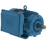 WEG_W22_213_5_T_TEFC_FootMounted_Primary.png