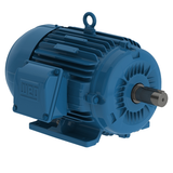 WEG_W22_213_5T_TEFC_FootMounted1_Primary.png