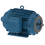 WEG_W22_213-5TC_TENV_FootMounted_Primary.png