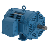 WEG_W40_254_6T_ODP_FootMounted_Primary.png