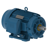 WEG_W22_284_6T_TEFC_FootMounted_Primary.png