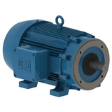 WEG_W21_NEMA__IC-411_TEFC_Footed_Primary.png