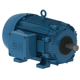 WEG_W21_286T_TEFC_FootMounted_Primary.png