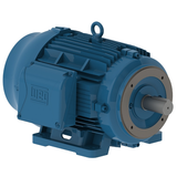 WEG_W22_NEMA_Premium_TEFC_Footed_Primary.png