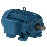 WEG_W21_364-5T_TEFC_Primary.png