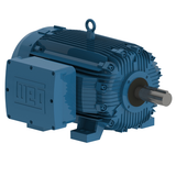WEG_W21_586_7T_TEFC_FootMounted_Primary.png