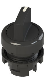 Pizzato_E2 1SE12ACA11AB_Primary.png