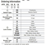 ATEPR-15-RYGB