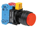 idec-hw1b-extend-red__19498.jpg