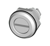 sce-minq__84834.jpg
