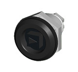 sce-minq6ms__13613.jpg