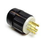 ar_connect_bodyplugs__19593.jpg