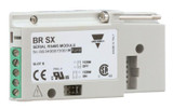 cg_brsx__72717.jpg