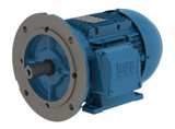 weg-electric-multimount__71294.jpg
