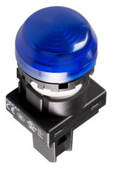 menics_-_a20p-2eq2s_-_pilot_light__33749.jpg