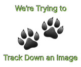 Were Trying to Track Down an Image-01.jpg