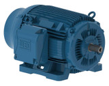 weg_-_04009et3e365t-w22_-_motor__87943.jpg