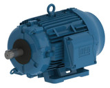 weg_-_11972328_-_three_phase_induction_motor__39344.jpg