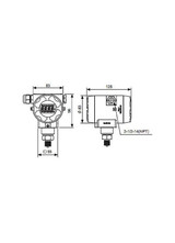 Transmitter, Gauge Pressure, 0-2 kgf/cm¬¨¬®¬¨¬Æ‚Äö√Ñ√∂‚àö¬¢¬¨√ü