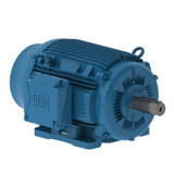 weg-crusherduty-3ph_1__70926.jpg