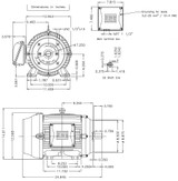 Motor, 20hp, 1800rpm, 3-Phase 230/460V, 254/6TC