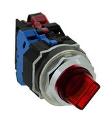 asld_11dnur__55296.jpg