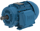 WEG_13983077_Primary.png