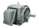 Teco_DHP0156_Primary.jpg