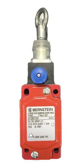 bernstein_sin-uv1z__88765.jpg