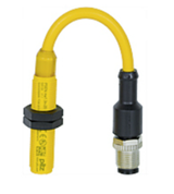 Pilz_526128_Primary.png
