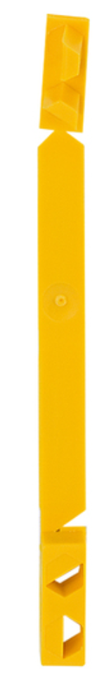 Pilz_312909_Primary.png