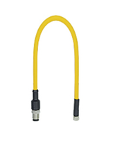 Pilz_540329_Primary.png