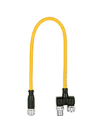 Pilz_540338_Primary.png
