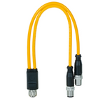 Pilz_C1_59_Primary.png