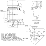 Teco_WPI_VSKP_5808_Dim_Dwg.png
