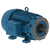 WEG_W21_NEMA__IC-411_TEFC_Footed_Primary.png