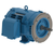 WEG_W40_284JM_ODP_Foot_Mounted_Primary.png