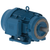 WEG_W22_NEMA_Premium_TEFC_Footed_Primary.png