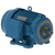 WEG_W22_IEEE841_TEFC_FootMounted_Primary.png