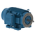 WEG_W22_Pump_TEFC_FootMounted_Primary.png