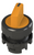 Pizzato_E2 1SE12AVA81AB_Primary.png